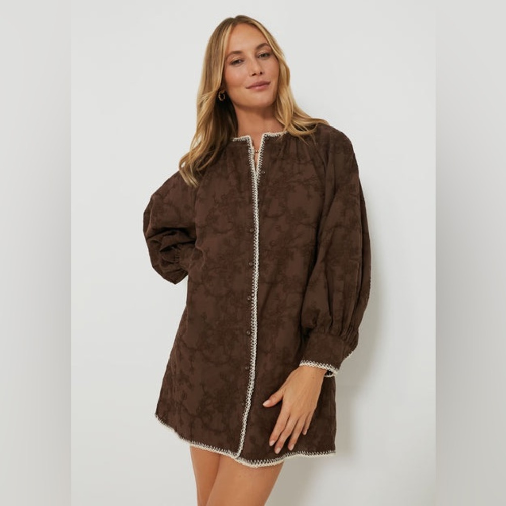 Brown Embroidered Midi Dress